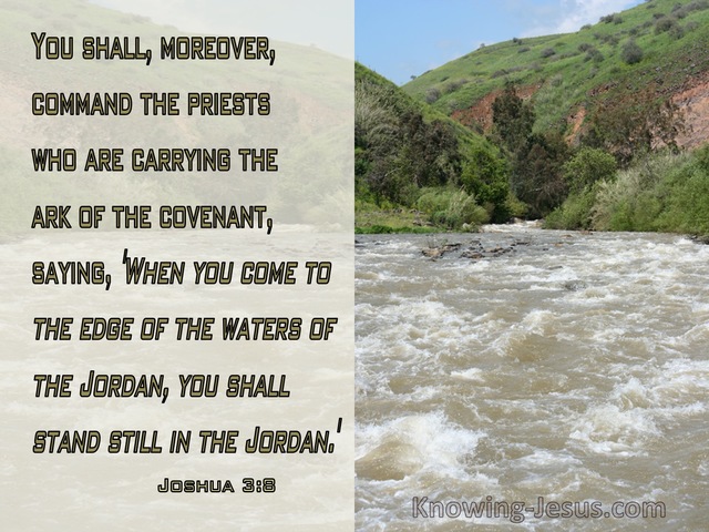 Joshua 3:8 Command The Priests To Shall Stand In The Jordan (green)